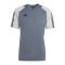 adidas Tiro 23 Competition Trikot Grau - grau