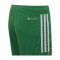adidas Tiro 23 Short Kids Dunkelgrün Weiss - gruen