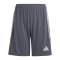 adidas Tiro 23 Short Kids Grau Weiss - grau