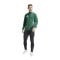 adidas Tiro 24 Competition Trainingsjacke Grün - gruen