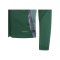 adidas Tiro 24 Competition Trainingsjacke Kids Grün - gruen