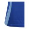 adidas Tiro 24 Competition Poloshirt Kids Blau - blau