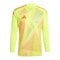 adidas Tiro 24 Competition Torwarttrikot langarm Gelb - gelb