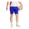 adidas Tiro 24 Competition Training Shorts Blue - blau