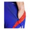 adidas Tiro 24 Competition Training Shorts Blue - blau