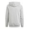 adidas Tiro 24 Hoody Kids Grau Weiss - grau