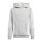 adidas Tiro 24 Hoody Kids Grau Weiss - grau