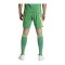 adidas Tiro 24 Pro Torwartshort Grün - gruen