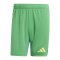 adidas Tiro 24 Pro Torwartshort Grün - gruen