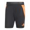 adidas Tiro 24 Pro Trainingsshort Schwarz Rot - schwarz