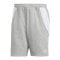 adidas Tiro 24 Short Grau Weiss - grau