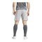 adidas Tiro 24 Short Grau Weiss - grau