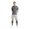 adidas Tiro 24 Short Grau Weiss - grau