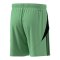 adidas Tiro 25 Short Grün - gruen
