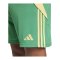 adidas Tiro 24 Short Grün Orange - gruen