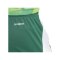 adidas Tiro 24 Short Grün Weiss - gruen