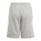 adidas Tiro 24 Short Kids Grau Weiss - grau