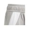 adidas Tiro 24 Short Kids Grau Weiss - grau