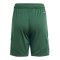 adidas Tiro 24 Short Kids Grün Weiss - gruen