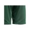 adidas Tiro 24 Short Kids Grün Weiss - gruen