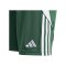 adidas Tiro 24 Short Kids Grün Weiss - gruen