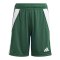 adidas Tiro 24 Short Kids Grün Weiss - gruen