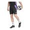 adidas Tiro 24 Short Schwarz - schwarz