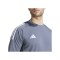 adidas Tiro 24 Trikot Grau Weiss Gelb - grau