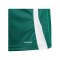 adidas Tiro 24 Trikot Kids Grün Weiss - gruen