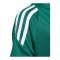 adidas Tiro 24 Trikot Kids Grün Weiss - gruen