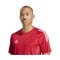 adidas Tiro 24 Trikot Rot Weiss - rot