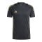 adidas Tiro 24 Trikot Schwarz Gold - schwarz