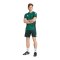 adidas Tiro 25 C Short Grün - gruen