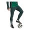 adidas Tiro 25 C Trainingshose Grün - gruen