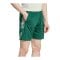adidas Tiro 25 Competition Short Grün - gruen