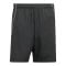 adidas Tiro 25 Competition Short Schwarz - schwarz