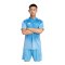 adidas Tiro 25 Competition Torwarttrikot Blau - blau
