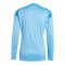 adidas Tiro 25 Competition Torwarttrikot Blau - blau