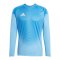 adidas Tiro 25 Competition Torwarttrikot Blau - blau