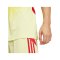 adidas Tiro 25 Competition Torwarttrikot Gelb - gelb