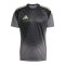 adidas Tiro 25 Competition Torwarttrikot Grau - grau