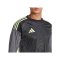 adidas Tiro 25 Competition Torwarttrikot Grau - grau