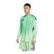 adidas Tiro 25 Competition Torwarttrikot Grün - gruen