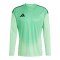adidas Tiro 25 Competition Torwarttrikot Grün - gruen
