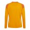 adidas Tiro 25 Competition Torwarttrikot Kids Orange - orange