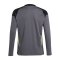 adidas Tiro 25 Competition Torwarttrikot Kids Grau - grau
