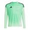 adidas Tiro 25 Competition Torwarttrikot Kids Grün - gruen