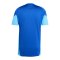 adidas Tiro 25 Competition Trikot Blau - blau