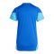 adidas Tiro 25 Competition Trikot Damen Blau - blau