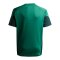 adidas Tiro 25 Competition Trainingsshirt Kids Grün - gruen